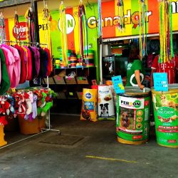 Tienda De Alimentos Esta De Perros (Santiago de Querétaro)