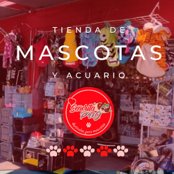 Tienda De Mascotas Y Acuario | Señorita Pug (Santiago de Querétaro)
