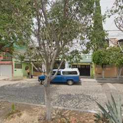 Tienda Naturista Flor De Loto (Santiago de Querétaro)