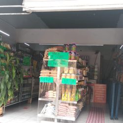 Tienda Naturista S+V Qro (Santiago de Querétaro)