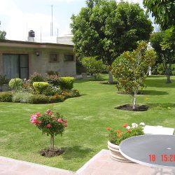 Todo Jardín (Santiago de Querétaro)