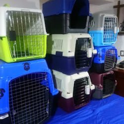 Transportadoras Y Casas Para Perros Y Gatos En Queretaro (Santiago de Querétaro)