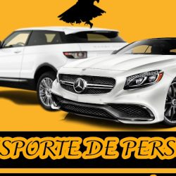 Transporte De Personal Insurgentes (Santiago de Querétaro)
