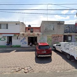 Venta De Accesorios Y Alimento Para Mascotas (Santiago de Querétaro)