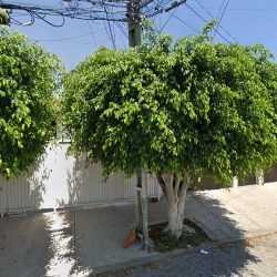 Venta De Casa Querétaro Buen Precio (Santiago de Querétaro)