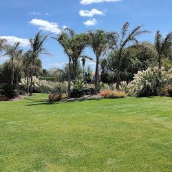 Verdesera - Centro De Jardineria Y Sistemas De Riego (Santiago de Querétaro)