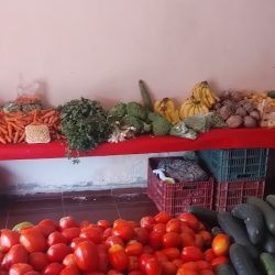 Verdulería Y Fruteria (Santiago de Querétaro)