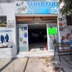 Veterinaria Puppy Dog's (Santiago de Querétaro)