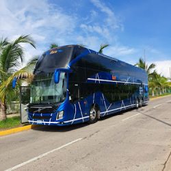 Viatur Transportes S De Rl De Cv (Santiago de Querétaro)