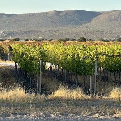 Viña Del Cielo (Cadereyta de Montes)
