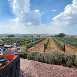 Viñedo La Revuelta - Restaurante Gran Reserva (Tequisquiapan)