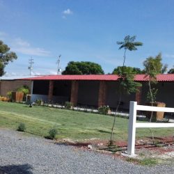 Viñedo San Rafael (Corregidora)