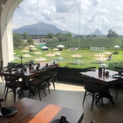 Viñedos Bernal (Santiago de Querétaro)