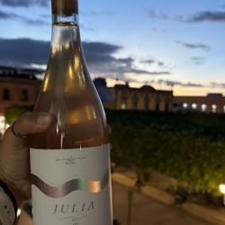 Vino Luna Y Marea (Santiago de Querétaro)