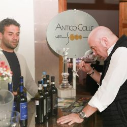 Vinopolis - Intrepid Wine Collection (Santiago de Querétaro)