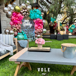 Vole Querétaro (Santiago de Querétaro)